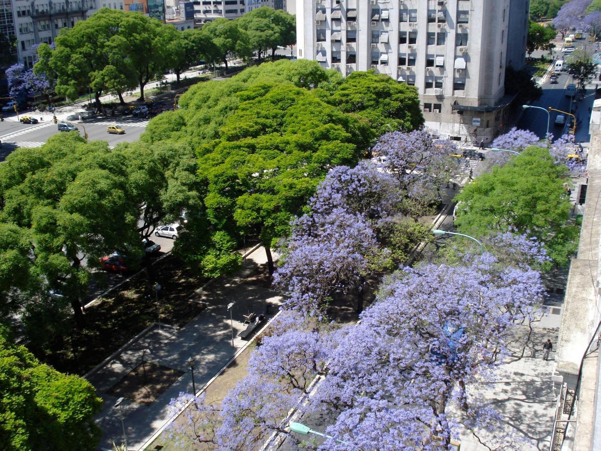 Htl 9 De Julio Bsas Hotel Buenos Aires Buitenkant foto